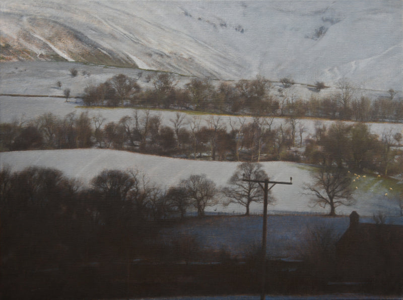 Upcoming Exhibition - To the Gate – My Daily Walk by Alan Stones (Exhibition Running 12th of June to the 30th of July)