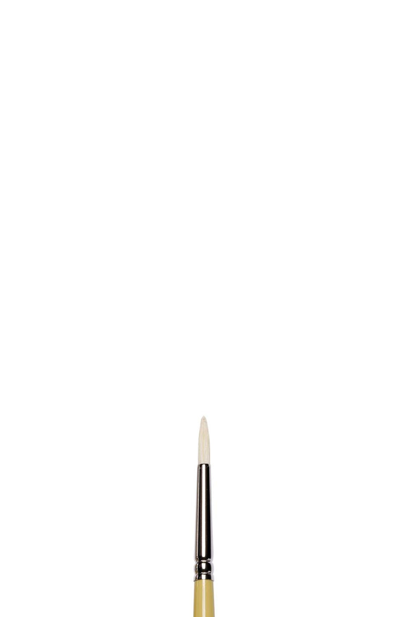 Winsor & Newton Artists' Oil Synthetic Round Hog Brush