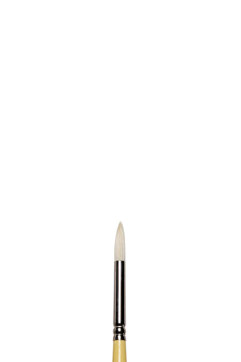 Winsor & Newton Artists' Round Hog Brush