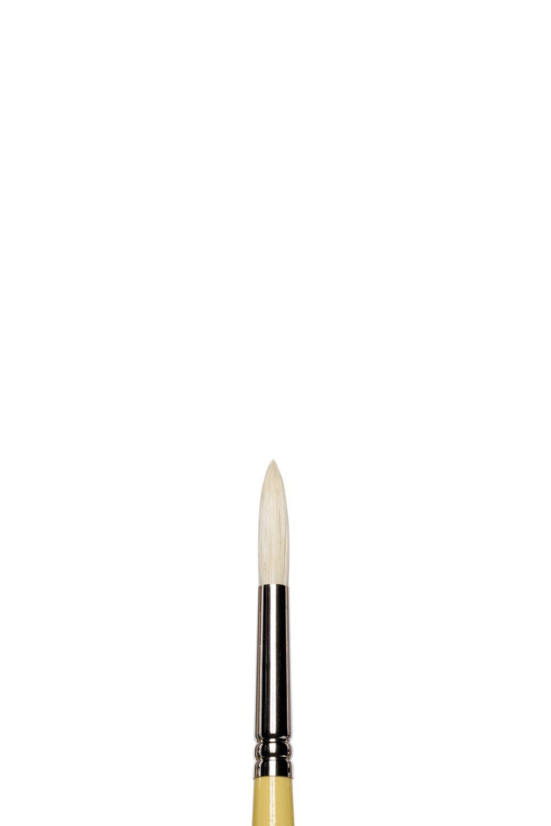 Winsor & Newton Artists' Round Hog Brush