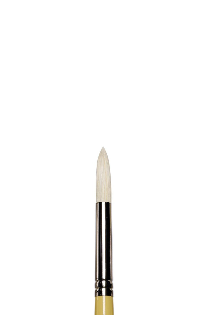 Winsor & Newton Artists' Oil Synthetic Round Hog Brush