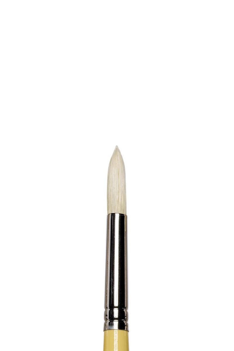 Winsor & Newton Artists' Round Hog Brush