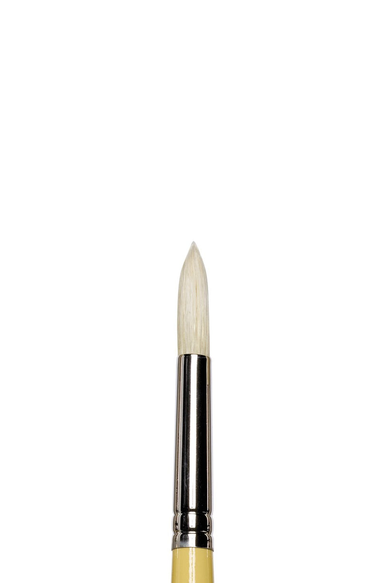Winsor & Newton Artists' Oil Synthetic Round Hog Brush