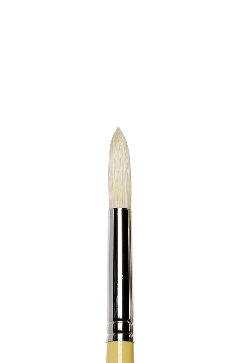 Winsor & Newton Artists' Oil Synthetic Round Hog Brush