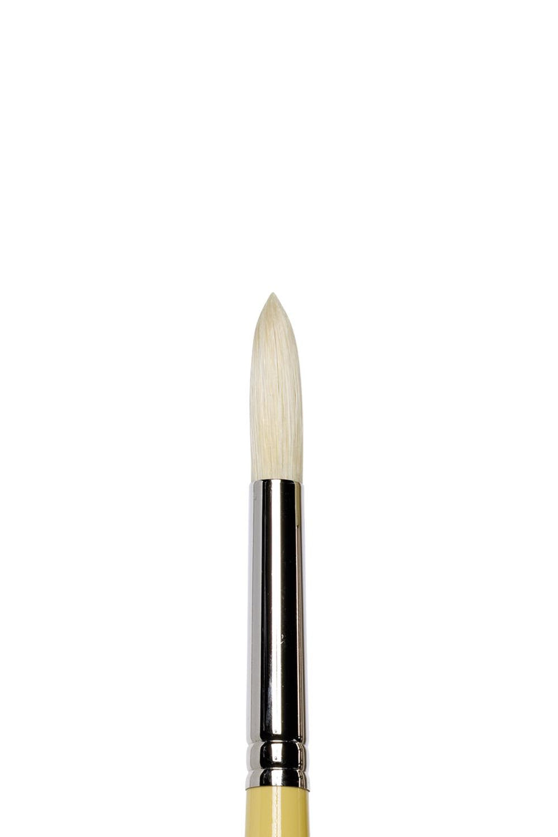 Winsor & Newton Artists' Round Hog Brush