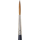 Winsor & Newton Artists' Watercolour Sable Brush (Rigger)