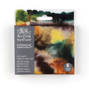 Winsor & Newton Professional Watercolour Rich Earth Set (Set of 6)