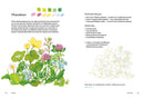 Rewild Your Drawing: How to draw botanicals by Marta Glowack