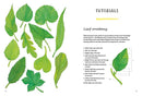 Rewild Your Drawing: How to draw botanicals by Marta Glowack