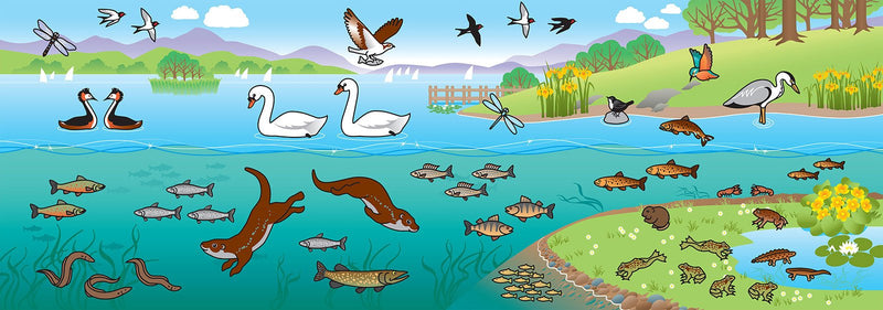 The Lake District Sticker Book: The Wildlife of Cumbria in Gorgeous Fold-Out Scenes by Evelyn Sinclair