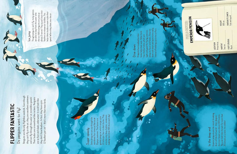 Do Penguins Like The Cold (Hardback) by Huw Lewis Jones