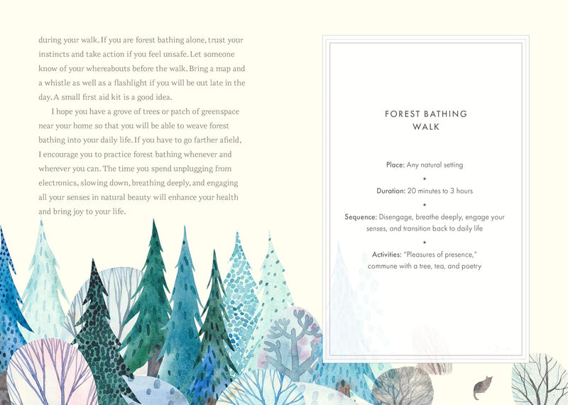 Wild Walking: A Guide to Forest Bathing through the Seasons