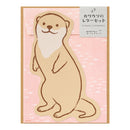 Midori Die-cut Letter Set