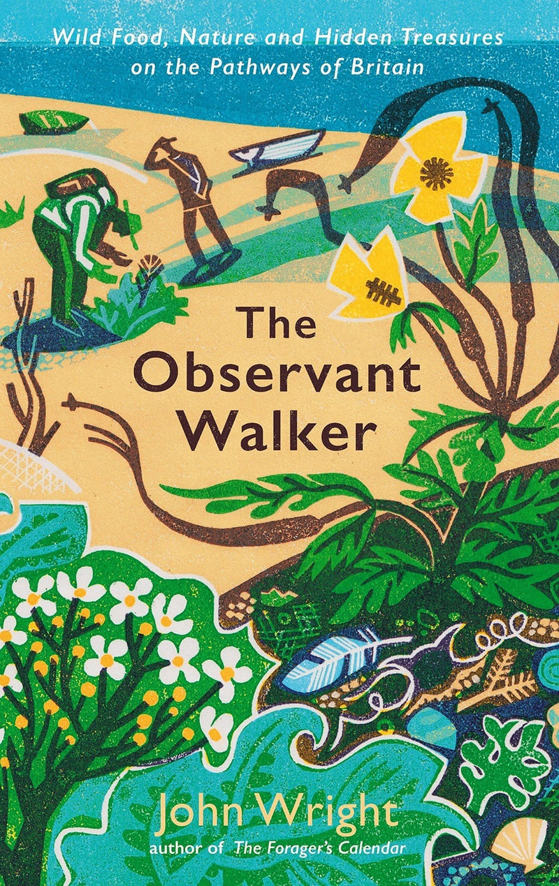 The Observant Walker (Hardback) by John Wright
