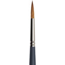 Winsor & Newton Pro Watercolour Brushes Synthetic Sable (Round)