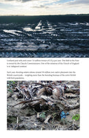 The Lie Of The Land by Guy Shrubsole