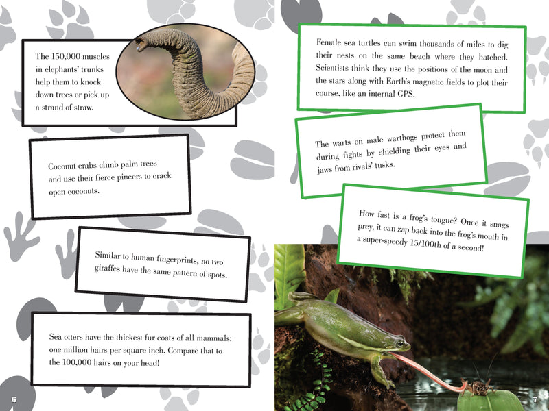 Incredible Book of Outrageous Facts For Kids: Random Information you Need to Know (Paperback) by Nancy Furstinger