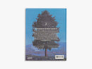 Slow Looking: The Art of Nature by Olivia Meehan