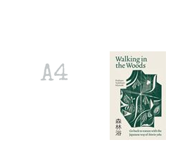 Walking In The Woods by Yoshifumi Miyazaki