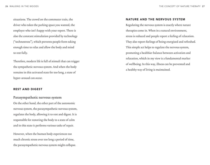 Walking In The Woods by Yoshifumi Miyazaki