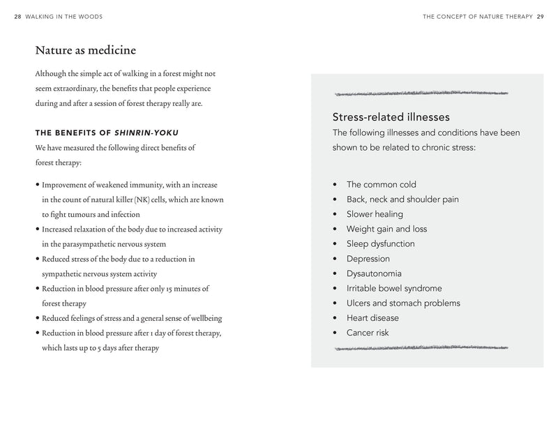 Walking In The Woods by Yoshifumi Miyazaki