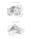 Sherpa : Stories Of Life And Death From The Guardians Of Everest by Pradeep Bashyal and Ankit Babu Adhikari
