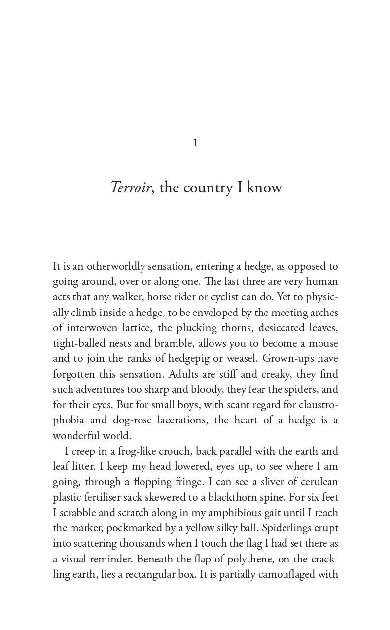 Words From The Hedge by Richard Negus