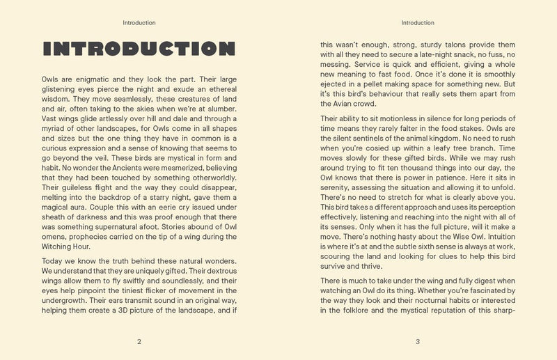 Be More Owl: Life Lessons from Our Feathered Friends By Alison Davies.