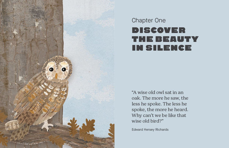 Be More Owl: Life Lessons from Our Feathered Friends By Alison Davies.