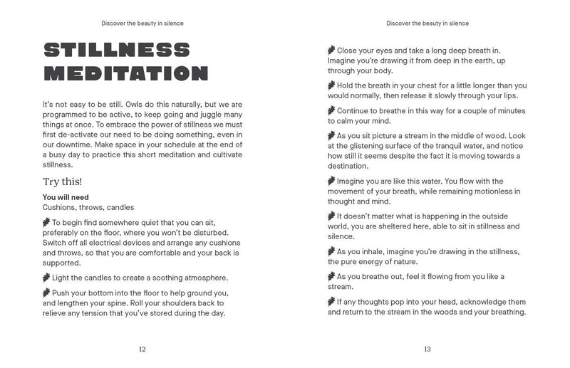 Be More Owl: Life Lessons from Our Feathered Friends By Alison Davies.