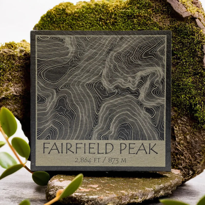 Lakeland Engravings Coasters