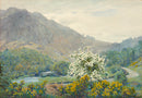 Gorse and White Hawthorn, Rydal Water - Original Painting by Alfred Heaton Cooper (1863-1929)