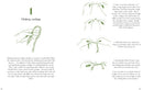 50 Things To Do In The Wild by Richard Skrein (HB)