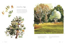 Painting Landscapes (Leaping Hare) PB by Inga Buividavice