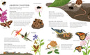 A Year in Nature: A collection of stories for every Season by Sean Taylor and Alex Morss