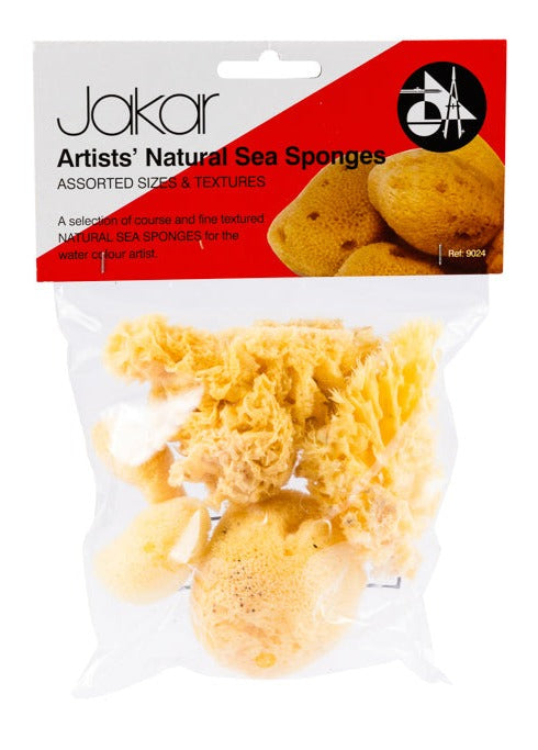 Natural Sea Sponges