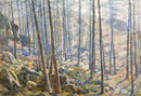 Morning sun on Larches, Skelgyhll - Original Painting by Alfred Heaton Cooper (1863-1929)
