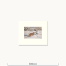 Topaz, Christmas 1953 by W J Ophelia Gordon Bell (1883 - 1973)