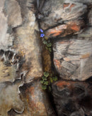 Old Wall and Campanula 2 - Original Artwork by Linda Ryle
