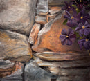 Old Wall with Clematis - Original Artwork by Linda Ryle