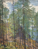 Thirlmere, Looking North - Original Painting by Alfred Heaton Cooper (1863-1929)