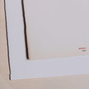 Winsor & Newton Lana & Aquarelle Watercolour Paper Sheet (56x76cm)