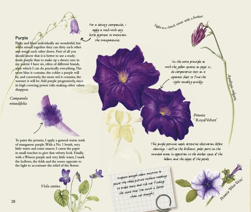 The Art of Botanical Drawing by Agathe Ravet-Haevermans