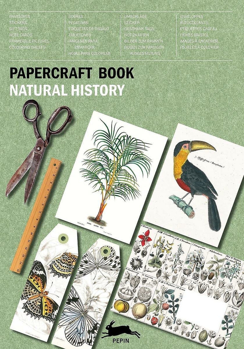 Natural History: Papercraft Book by Pepin Van Roojen