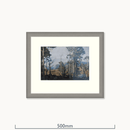 Mar Forest, Braemar by Alfred Heaton Cooper (1863 - 1929)