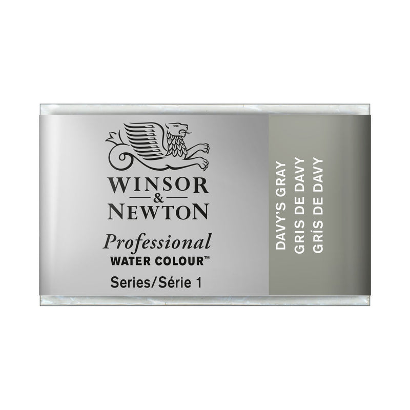 W&N-PROFESSIONAL-WATER-COLOUR-WHOLE-PAN-DAVY'S-GRAY
